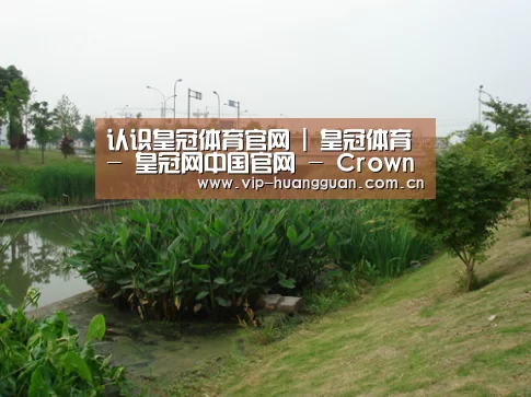 案例展示四(图1)