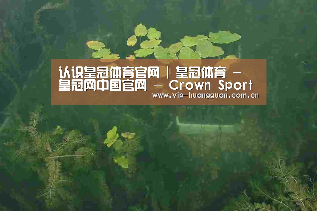 案例展示三(图1)