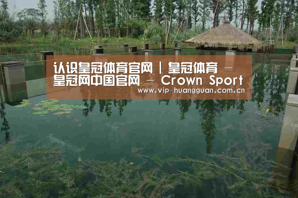 案例展示二(图1)