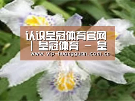 产品名称二