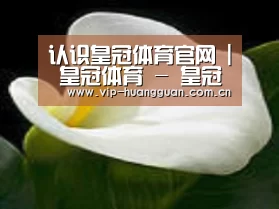 产品名称七
