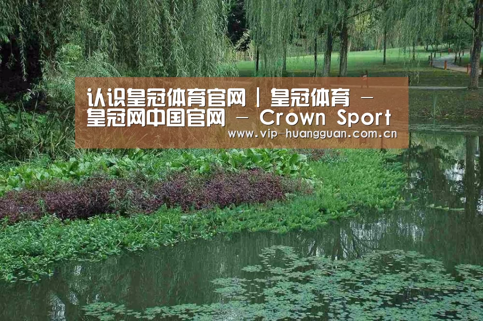 案例展示一