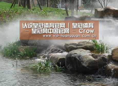 案例展示五