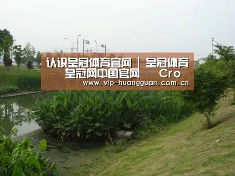 案例展示四