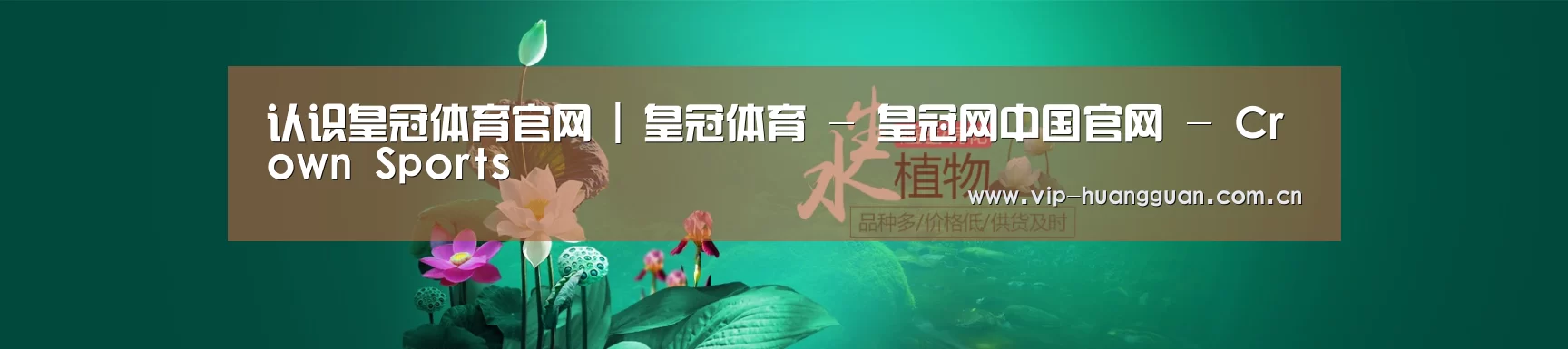 鲜花水草花卉网站模板