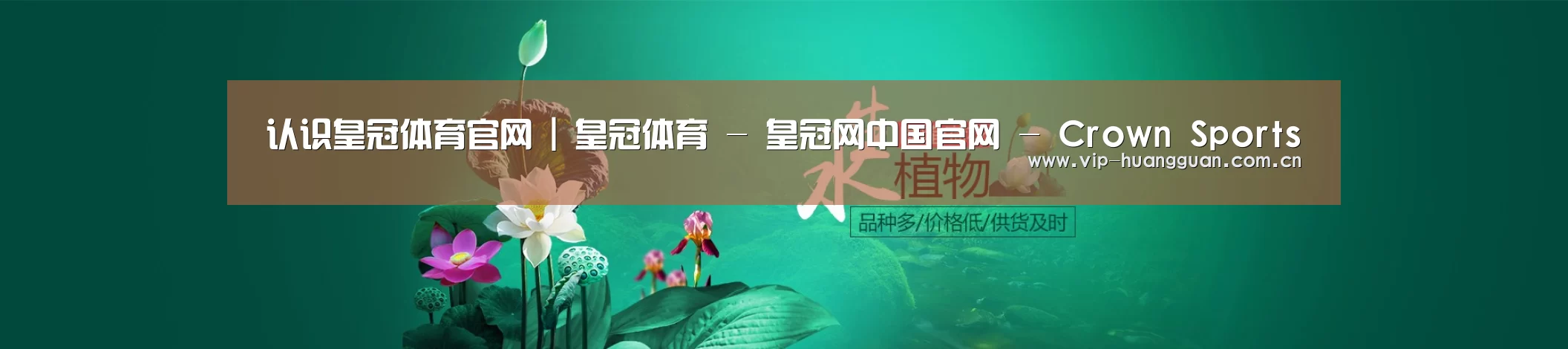 鲜花水草花卉网站模板